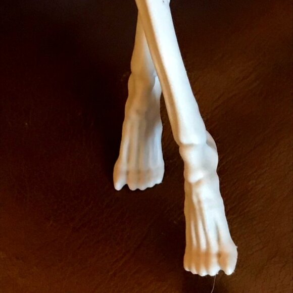 Monster High Skelita Calaveras Doll 2012 Mattel - Picture 13 of 15